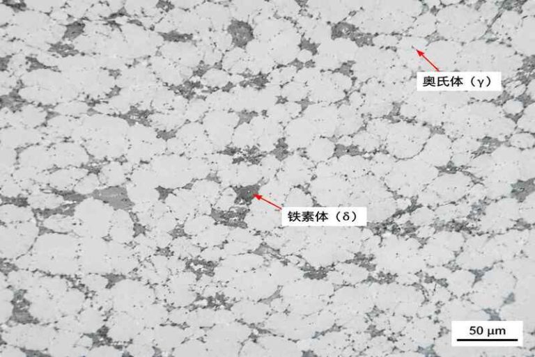 高倍显微镜下显示2205双相钢奥氏体(γ)和铁素体(δ)两相分布